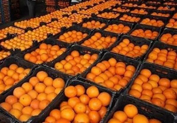 مصوبه کارگروه تنظیم بازار درباره نرخ میوه شب عید