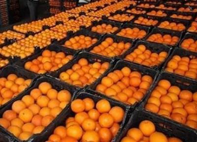 مصوبه کارگروه تنظیم بازار درباره نرخ میوه شب عید