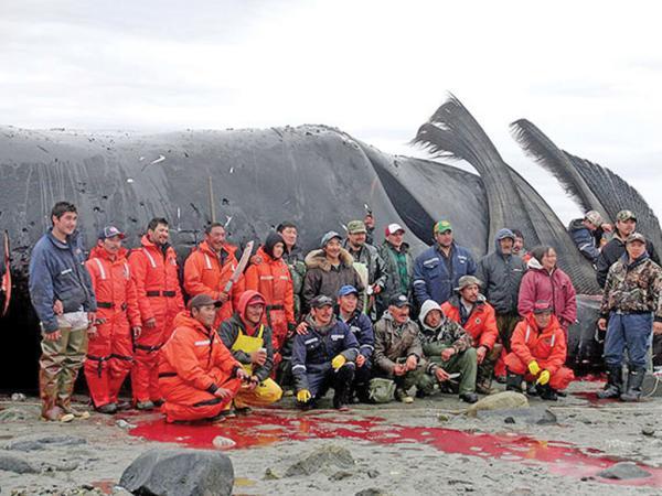 شکارچیان نهنگ، چه کسانی هستند؟